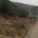 삼죽농장 이미지