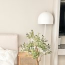 올리브조화 | 생화 같은 올리브 조화나무 120cm 플랜테리어랩 후기