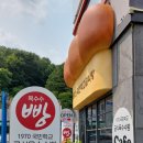콘이코니