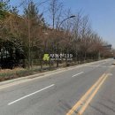향교말길 Daum카페