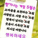 부산보링 이미지