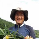예선아빠농장