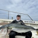 울진왕돌초 이미지