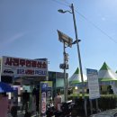 태우장터 | 2025 구리코스모스축제(먹거리, 기차, 4살아이체험)