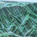 광덕산3로2L 네이버블로그