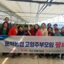 문막농협 이미지