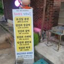 영광애꽃