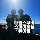 애월스쿠버
