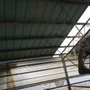 순창금산흑염소농장 이미지