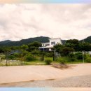 강아지 정거장 이미지