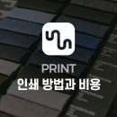 삼성실사나염
