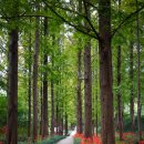 천지인로173번길 이미지