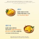 릴레이할인유통 | 2026 빕스 망고페스티벌 런치 가격 기간 할인 꿀팁 총정리(+카드할인, 통신사 제휴 할인 15% 받는 법!!)
