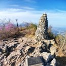 [2022-04-10/일] 기장 천마산-달음산-월음산-산수곡 마을 혼산 후기 #2 (feat.운수 좋은 날)