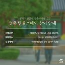 스테이 청춘 이미지