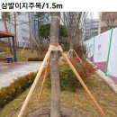 안성조경자재 이미지
