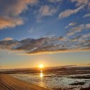 낙지공원 노을길야영장 무인카페 이미지