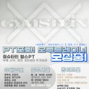 짐슈타인 이미지