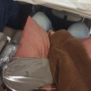 희은농장 | 5박7일 호주여행 출사원정대 프롤로그 with 캐논코리아