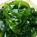 저스트 플레잉(JUST PLAYING) 이미지