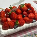 투썸플레이스해남군청점