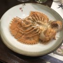 대풍회초밥