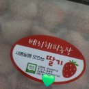 🍓 해풍을 맞고 자란 통영 베리해피농장 딸기 솔직 리뷰!