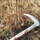 만성농장 이미지