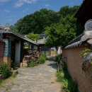 교동다원 네이버블로그