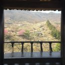 매화골국밥