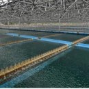 간석4동-6 이미지