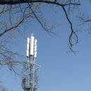 구평초교 이미지