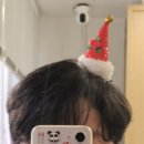 (주)차비누 | 크리스마스빌리지 부산 1,2주차 컵케이크 비누 만들기 체험부스 참여 후기_영화의 전당 비프힐_피시스...