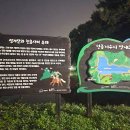정가3 - 증평군 장동길 30 | [천안 숙소 '정가' 후기] 자연 속의 힐링 공간 | 천안 숙소 '독채 펜션 정가' 체험 후기