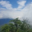 갑진유통 이미지