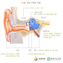 메니에르병[Meniere's disease][어지럼증, 청력감소, 귀울림] 이미지