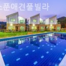 골드스푼애견풀빌라 이미지