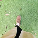 부림놀이터 | 30대 워킹맘 가을 겨울 데일리신발 샀어요~ 얼마 만의 멋부림인가 feat. 마크모크