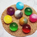 동그리솝 이미지