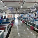 방어진어촌계슬도활어직판장 이미지