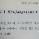 도서출판 선 요가