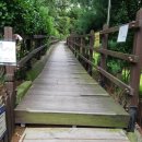 꿈에그린(아) 이미지