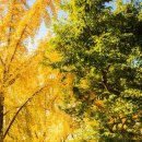 경섭목장 이미지