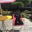 토리푸하우스 이미지