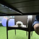 굽네치킨광안2，