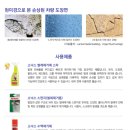 소낙스호평점 이미지