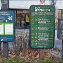 은행나무공원 이미지