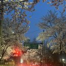 지에스25 도곡점 이미지