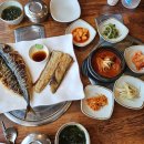 멍멍이 날다 | 24.03.24~24.03.28 제주 마지막