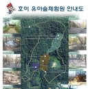 호이 유아숲체험원 이미지